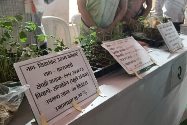Seed festival starts in akola
