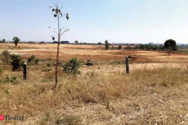 Andhra Pradesh government to revise land prices from February 1, 2025, ET RealEstate
