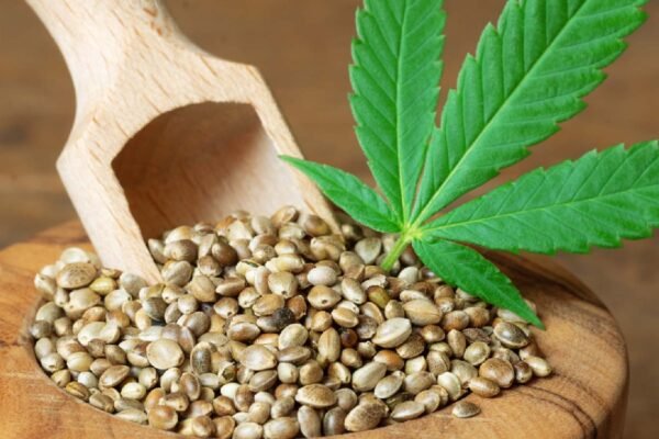 Ways to eat hemp seeds: Tips and side effects