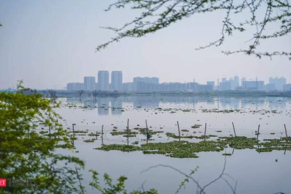 Five ponds in Gurugram encroached upon by construction, Real Estate News, ET RealEstate