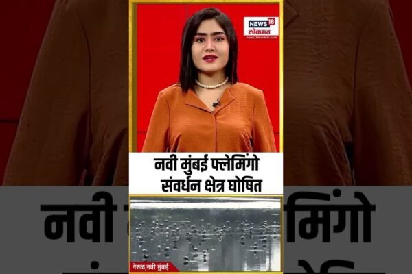 Navi Mumbai | नवी मुंबई फ्लेमिंगो संवर्धन क्षेत्र घोषित